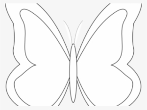 Outline Of A Butterfly - Pieridae