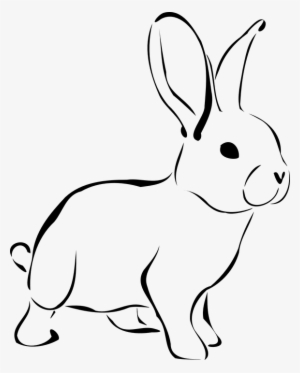 Bunny Clipart