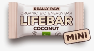Raw Organic Coconut Mini Lifebar - Lifefood Organic Coconut Lifebar 15 X 47g
