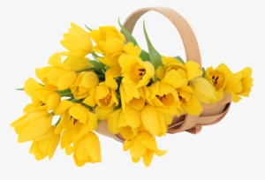 Hoy Te Regalamos Hermosas Imágenes En Png De Flores - Yellow Flowers Basket