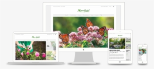 As Portfolio Merrifield Responsive - Merrifield