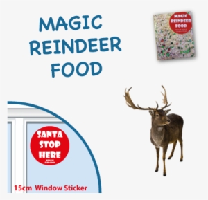 Magic Santa Key - Reindeer Christmas Card