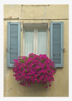 Old Window With Shutters And Window Box With Flowers - Window