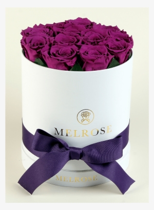 The Melrose Small Round Box Purple - Girl
