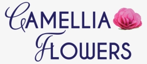 Camellia Flowers Melbourne Florist Camellia Flowers - D And K Love