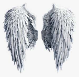 Angel Wing Transparent Png