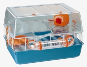 An Old Terarrium - Ferplast Duna Fun Hamster Cage With Accessories