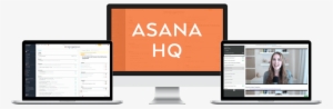 Asana Hq Glamour - Virtual Number