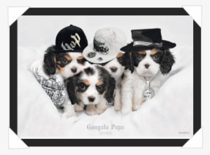 #381 - Keith Kimberlin Poster, Gangsta Pups