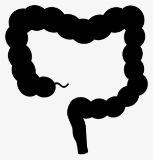 Intestine Comments - Large Intestine Graphic Black And White