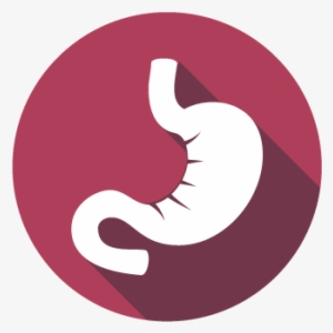 Icon Small Intestine