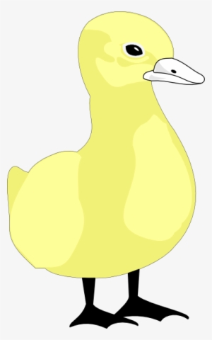 How To Set Use Cartoon Duck Svg Vector Transparent Png - 372x596 - Free 