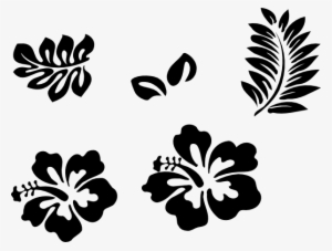 Hawaiian Flower Clipart Transparent