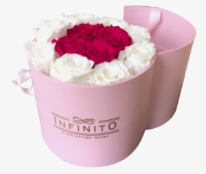 Infinito Sweety Box - Box