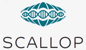 Scallop Genetics Of The Proteome - News