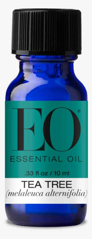 Eo Pure Essential Oil Tea Tree - Eo Products - Everyone Aromatherapy Singles Essential