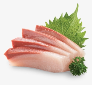 yellowtail sashimi はまち刺身 - fish