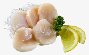 scallop sashimi 1 pcs - seafood