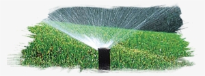 Irrigation1 04 - Lawn