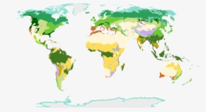 Temperate Grasslands Of The World