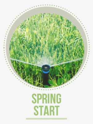 Having Your Automatic Lawn Sprinkler System Operating - Long Island