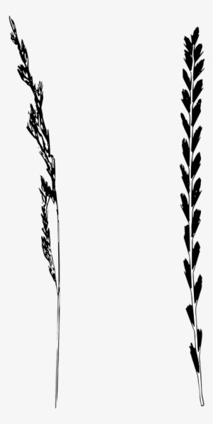 blades of grass coloring page