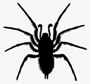 Spider Drawing Silhouette Computer Icons - Spider Silhouette Png