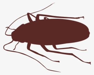 How To Get Rid Of Cockroaches And Other Bugs Bug Buster - Cockroach Silhouette Png