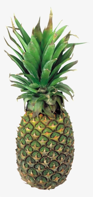 pineapple png image, free download - green pineapple png