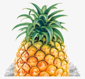 Pineapple Png