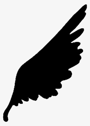 Crow Wing Emblem Bo - Illustration