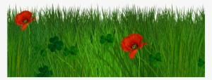 Isolated Grass Border With Poppy Flowers Free Seamless - Natural Png For Photoshop