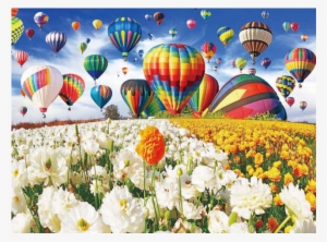 Balloon Flower Field - Flower Field With Hot Air Balloons