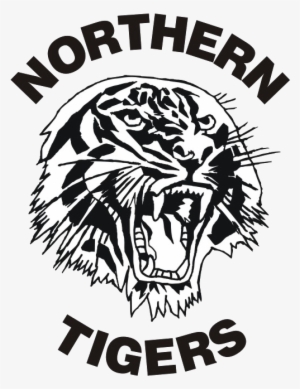 Representative Football In The Northern Suburbs Of - Northern Tigers
