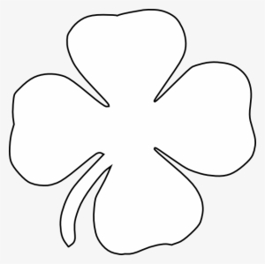 Small - White Four Leaf Clover Png
