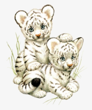 Tiger With Cub Drawing