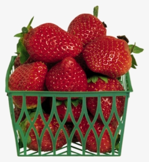 Barquette De Fraises Png, Tube - Basket Of Strawberries