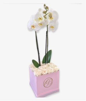 Caja De Rosas Blancas Con Orquídea - Flower