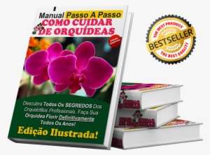Manual Passo A Passo Como Cuidar De Orquídeas -
