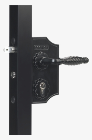 Small Surface Mounted Ornamental Gate Lock - Locinox Lakq H2