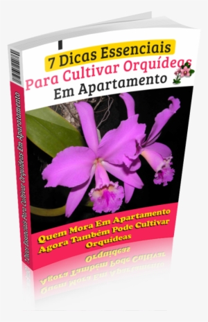 Manual Como Cuidar De Orquídeas - Book
