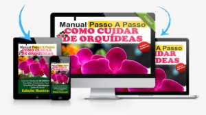 Manual Como Cuidar De Orquidea - Social Media Screens