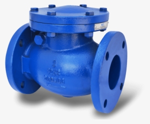 Discover Today The Many Reasons Why Nci Canada Inc - Check Valve