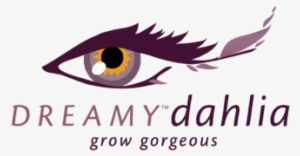 Dahlia 'dreamy® Days' - Dahlia Dreamy