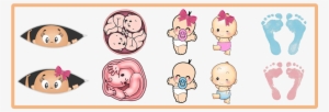Bebes - Cwowded Womb Ornament (round)