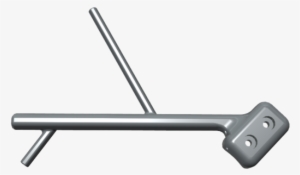 Left Branch