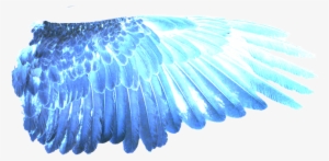 Blue Wings Png - Eagle