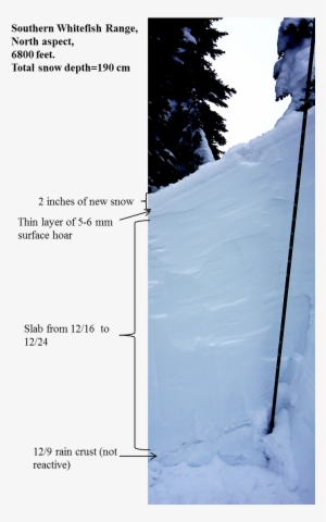 Surface Hoar - Snow