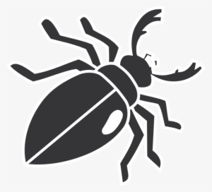 Beetles Clipart Clip Art - Beetle Clipart