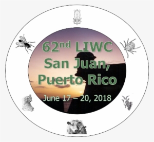 Liwclogosmall - Fly Clip Art